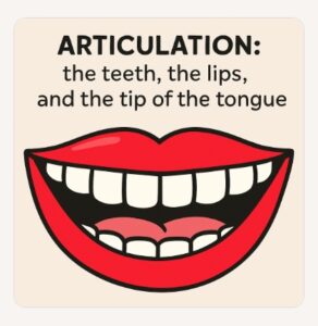 articulation example showing the teeth, the lips and the tip of the tongue
